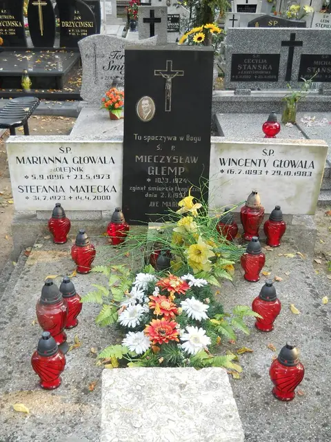Zdjęcie grobu 15/26799
