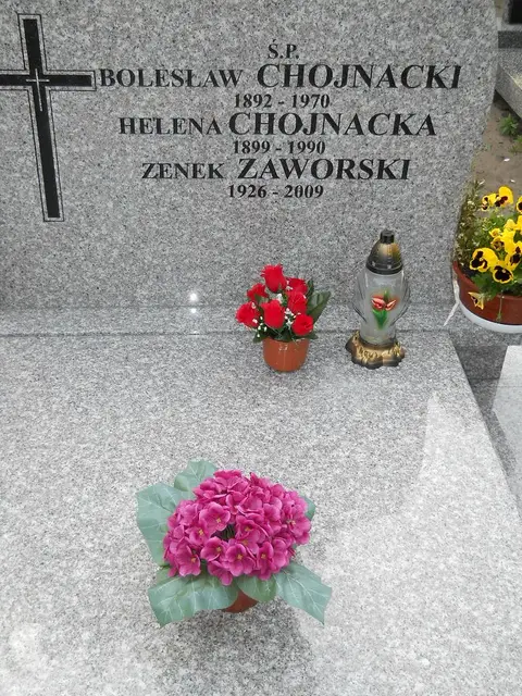 Zdjęcie grobu 8/10481