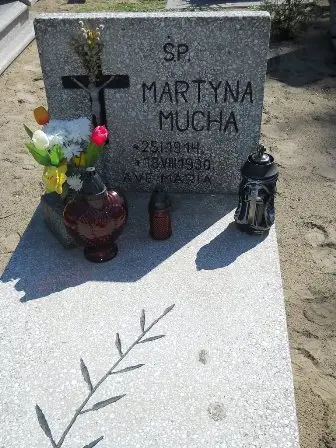 Zdjęcie grobu 46/163,163a