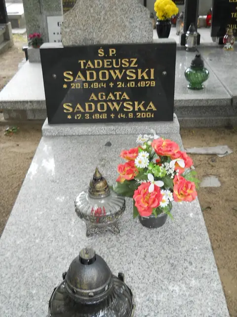 Zdjęcie grobu 13/29663