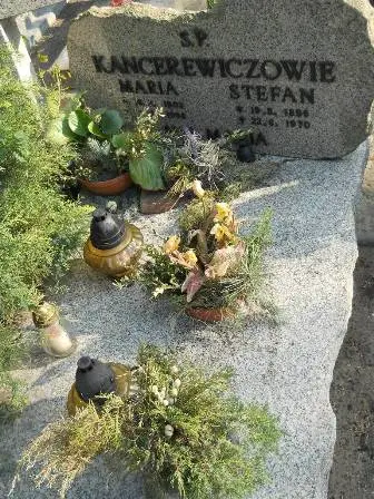 Zdjęcie grobu 9a/74