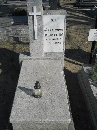 Zdjęcie grobu Dz/60