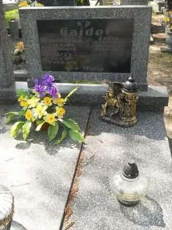 Zdjęcie grobu 20/407,408