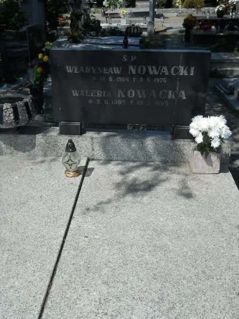 Zdjęcie grobu 7/11824