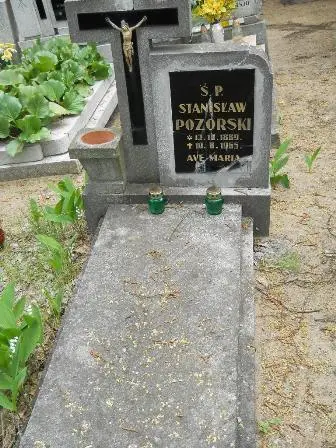 Zdjęcie grobu 33/100