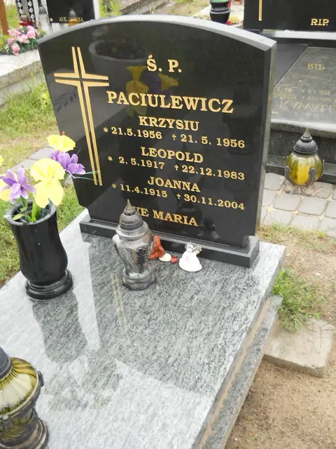 Zdjęcie grobu 24/23315