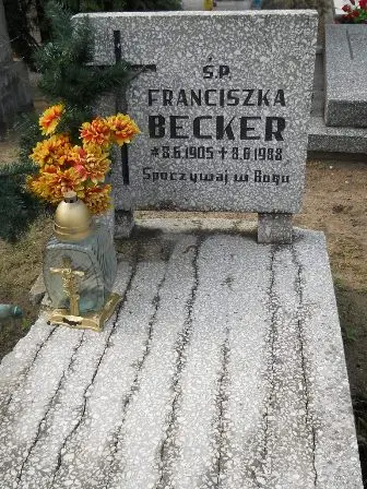 Zdjęcie grobu 38/100