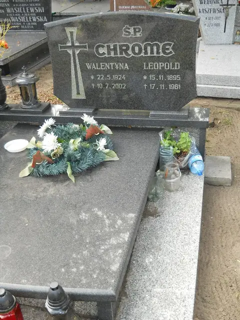 Zdjęcie grobu 12/29322
