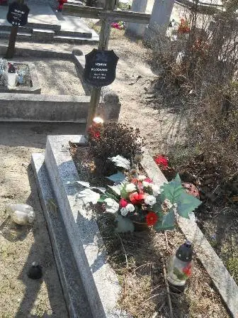 Zdjęcie grobu 3/157