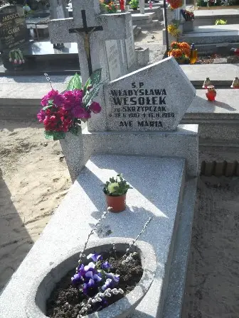 Zdjęcie grobu 5/plus 90