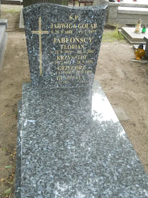 Zdjęcie grobu 13/29661