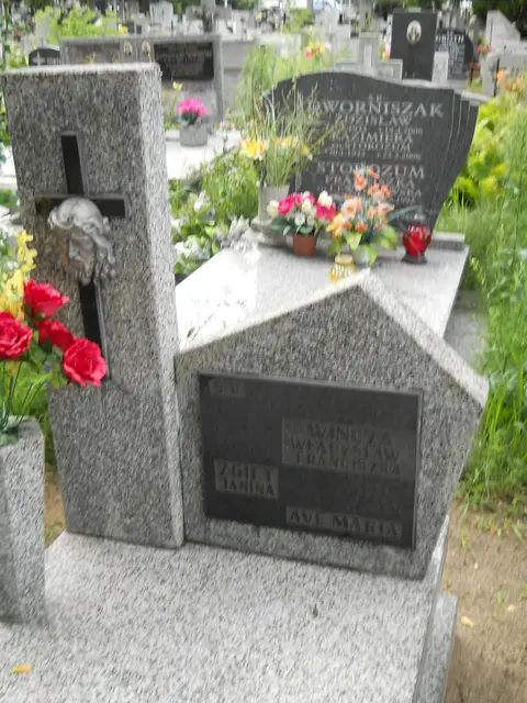 Zdjęcie grobu 5/22732