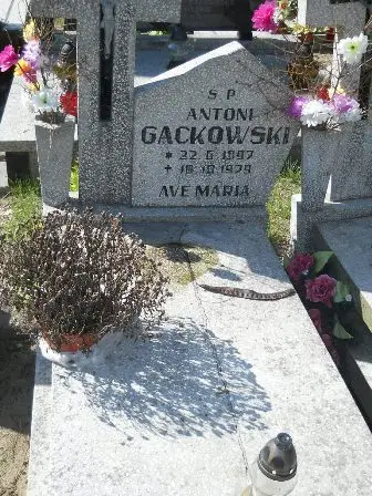 Zdjęcie grobu 35/240
