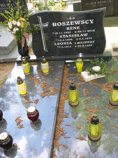 Zdjęcie grobu 16/26129