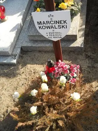 Zdjęcie grobu 100/100