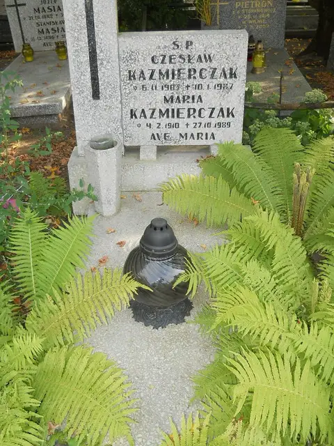Zdjęcie grobu 15/26504