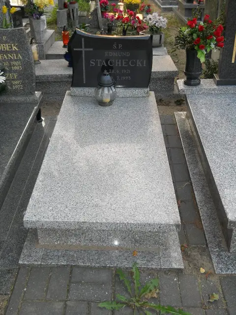 Zdjęcie grobu 13/29028