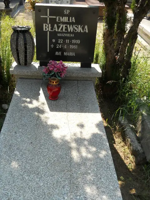Zdjęcie grobu 14/27265