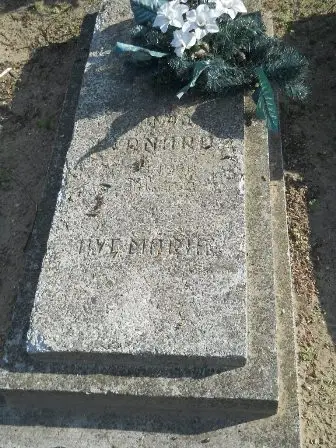 Zdjęcie grobu 9/100