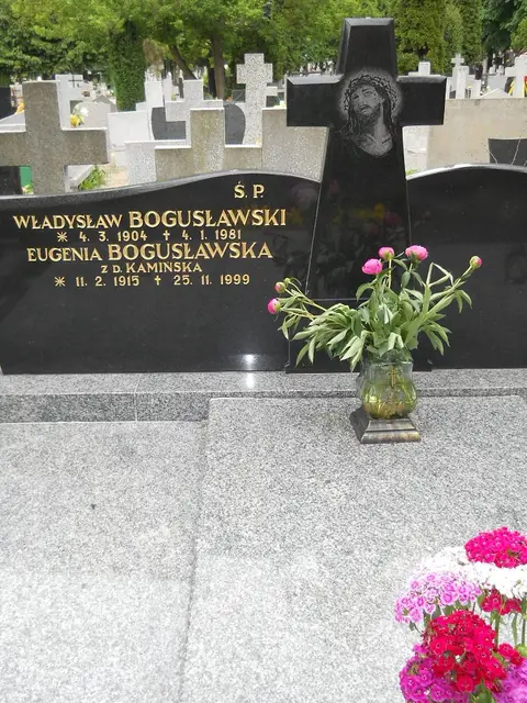 Zdjęcie grobu 7/11048