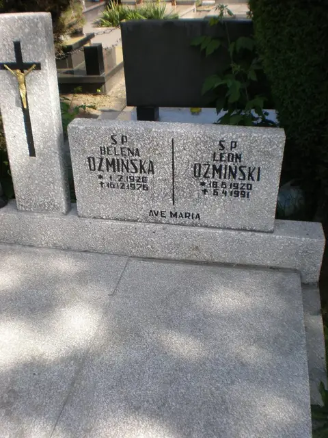 Zdjęcie grobu 8A/20209