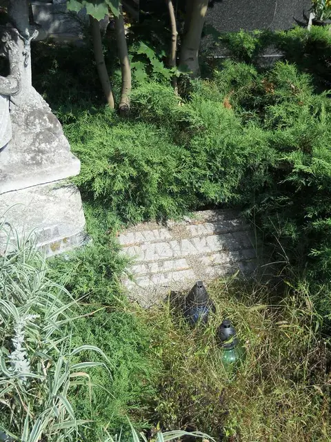 Zdjęcie grobu 18/28229