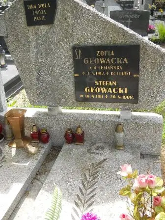 Zdjęcie grobu 39/61,62