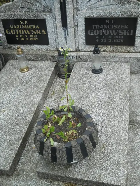 Zdjęcie grobu B/25399