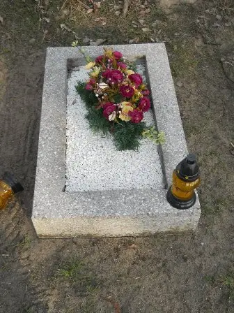 Zdjęcie grobu Dz/113