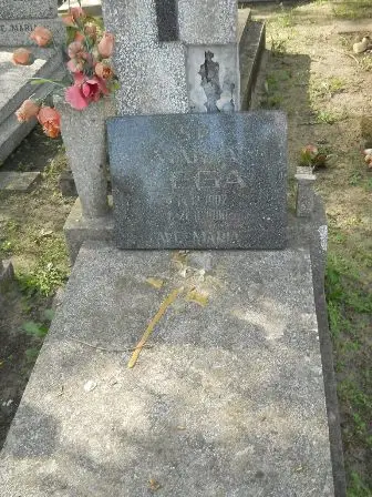 Zdjęcie grobu 27/100