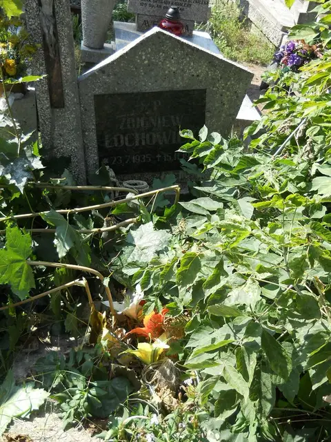 Zdjęcie grobu 17/28083