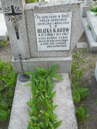 Zdjęcie grobu 7b/100