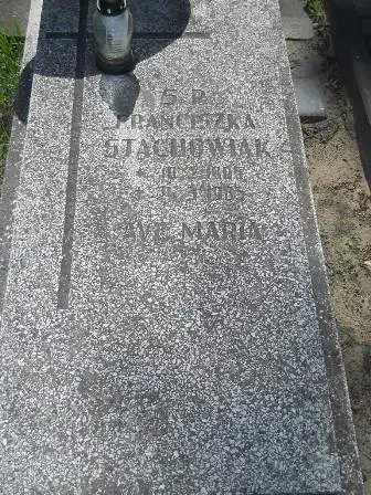 Zdjęcie grobu 25/336