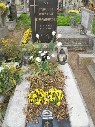 Zdjęcie grobu H/233