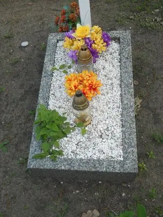 Zdjęcie grobu 7b/100
