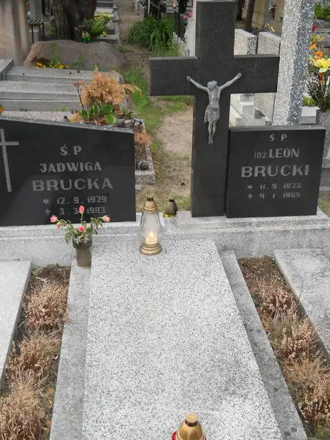 Zdjęcie grobu 7/11229