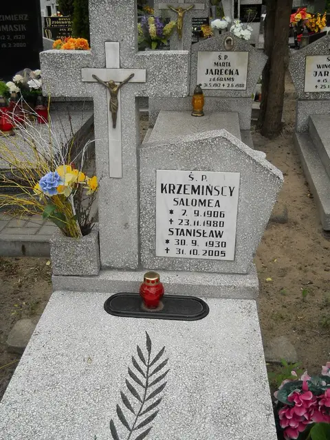 Zdjęcie grobu 7/10960