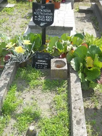 Zdjęcie grobu 25/195
