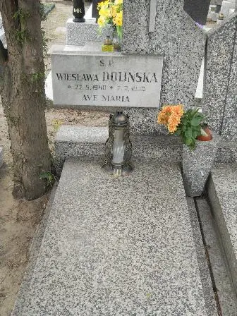 Zdjęcie grobu 43/106