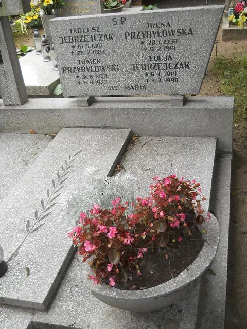 Zdjęcie grobu 13/29656