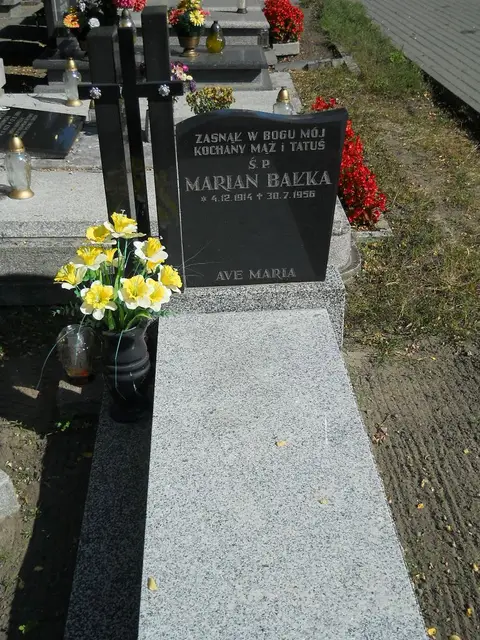 Zdjęcie grobu 5/24082