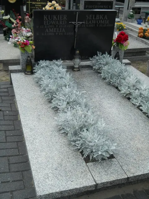 Zdjęcie grobu 9/24543