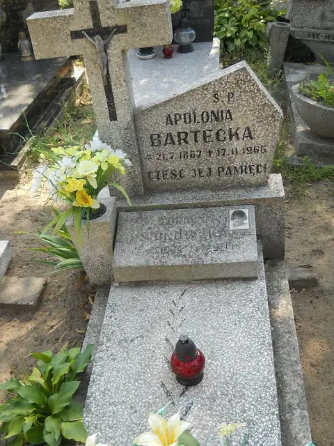 Zdjęcie grobu 18/28401