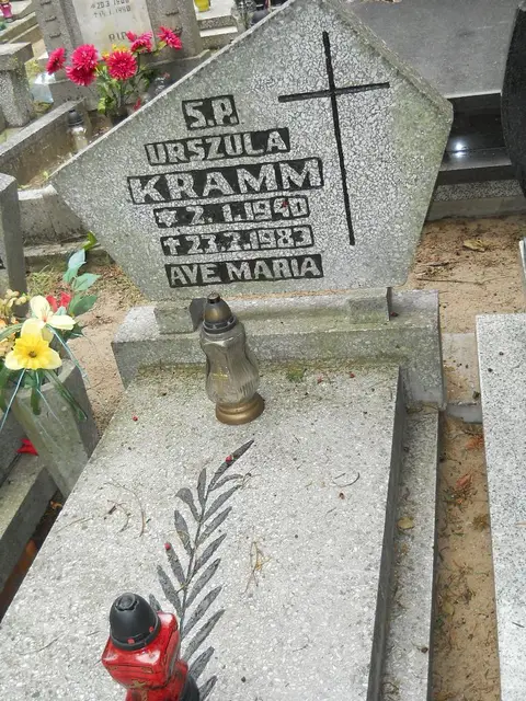 Zdjęcie grobu 12/29502