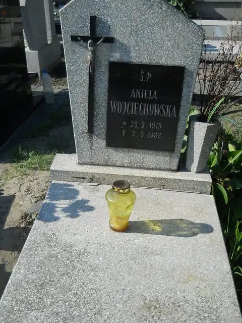 Zdjęcie grobu 7/12042