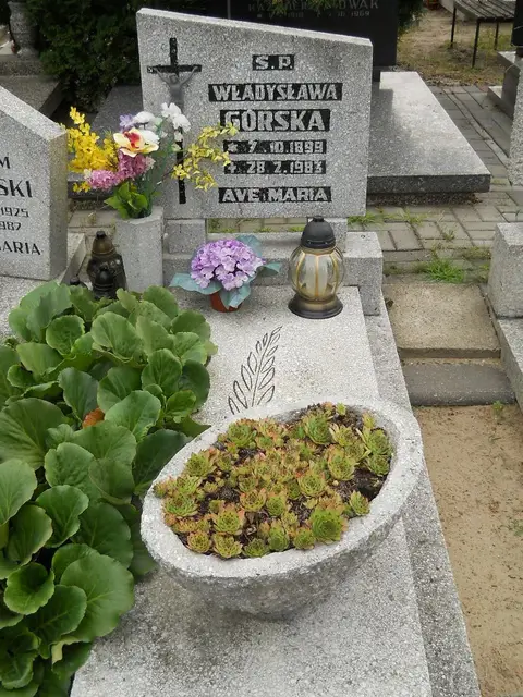 Zdjęcie grobu B/25178