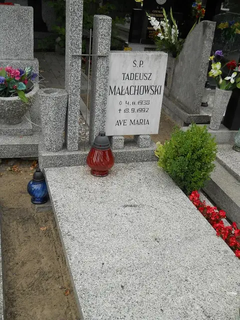 Zdjęcie grobu 9/24483