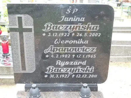 Zdjęcie grobu 33/100
