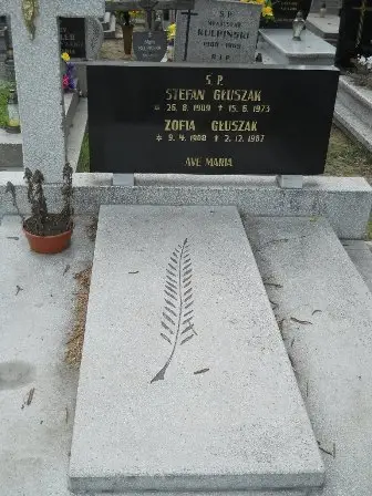 Zdjęcie grobu 40/88,89
