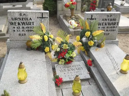 Zdjęcie grobu 10/100